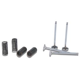 ENGINE VALVES AND SPRINGS