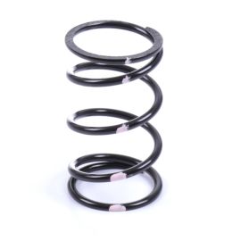 PRIMARY CLUTCH SPRINGS